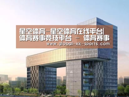 案例展示四