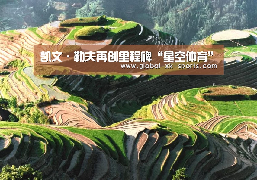 星空体育网页版