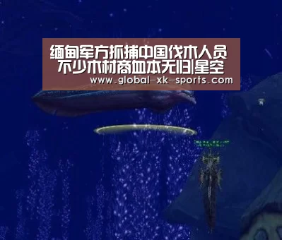 星空体育